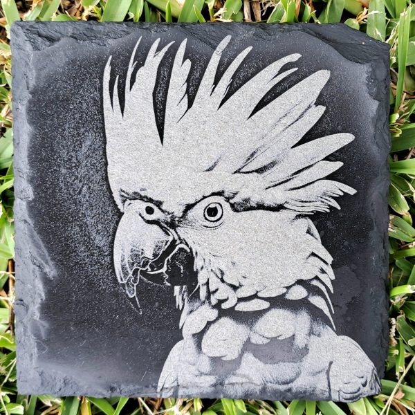 Cockatoo Slate Coaster