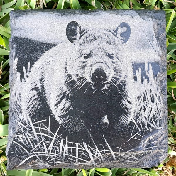 Wombat Slate Coaster