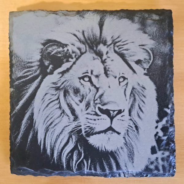 Lion slate coaster